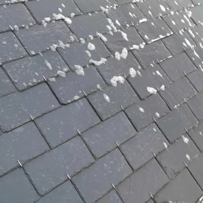 Démoussage de toiture Paris 75