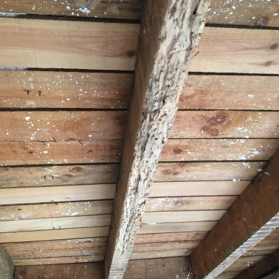 Traitement de charpente Paris 75